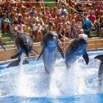 Аква-зоопарк и дельфинарий “Маринеленд”